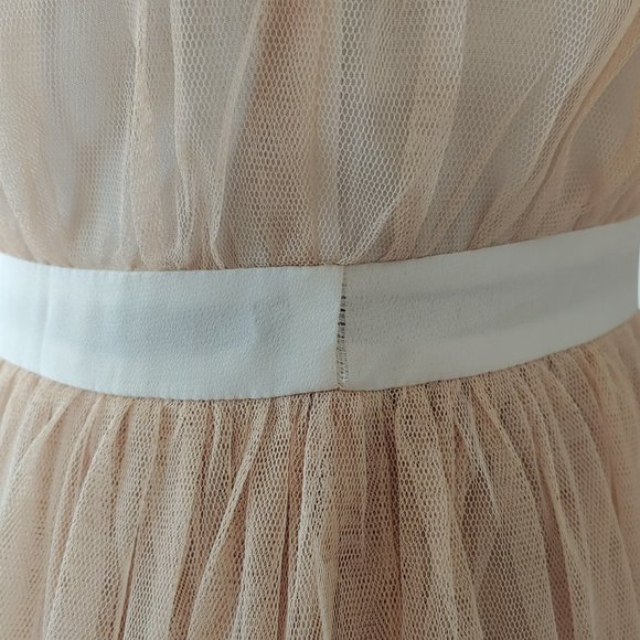 🎃 Blush by Young Threads Tulle and Lace Dress - Picture 10 of 10